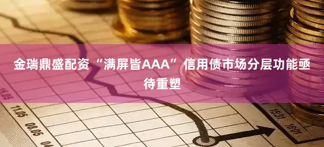 金瑞鼎盛配资 “满屏皆AAA” 信用债市场分层功能亟待重塑