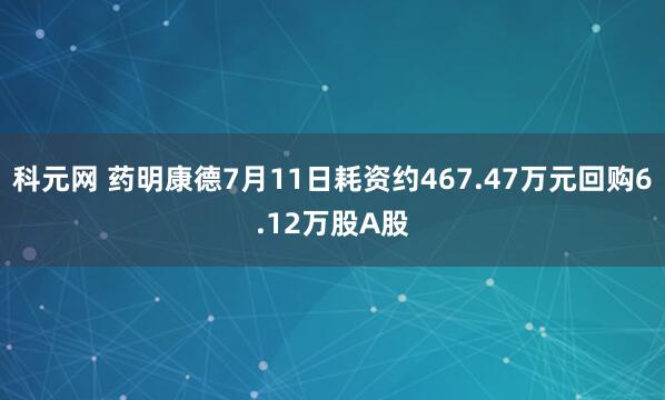 科元网 药明康德7月11日耗资约467.47万元回购6.12万股A股
